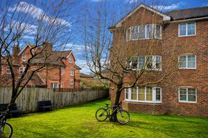 Photo 13- click for photo gallery